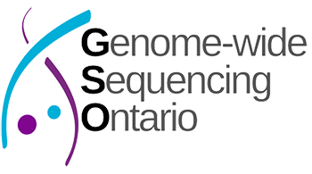GSO Logo